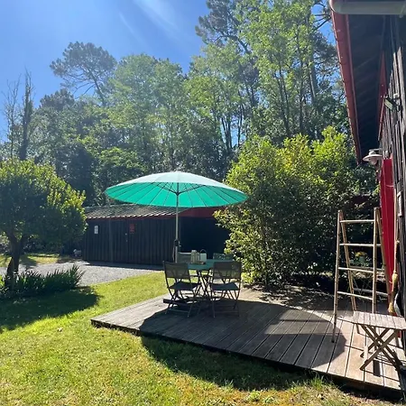 L'aquarium De Proust Sous Les Arbres Lacanau