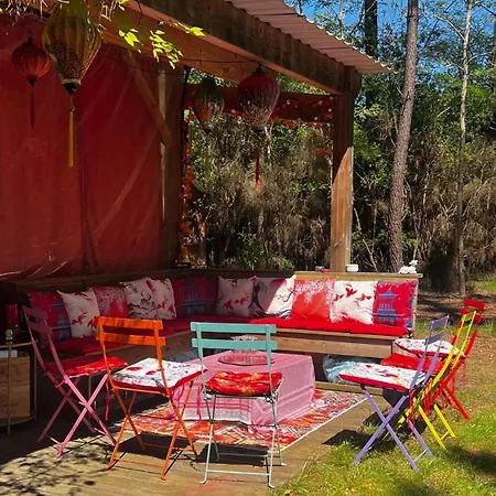 L'aquarium De Proust Sous Les Arbres Horská chata Lacanau