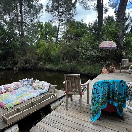 L'aquarium De Proust Sous Les Arbres Lacanau