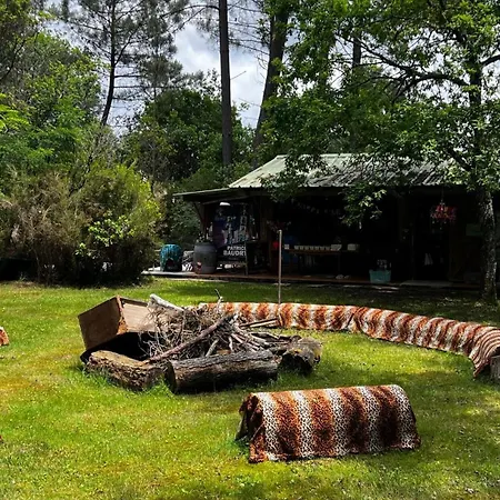 L'aquarium De Proust Sous Les Arbres Chalet *