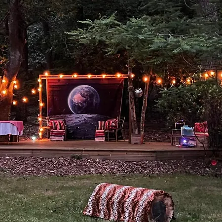 L'aquarium De Proust Sous Les Arbres Lacanau