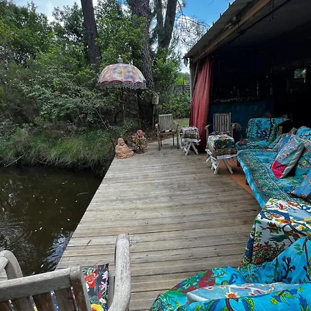 L'aquarium De Proust Sous Les Arbres Chalet Lacanau