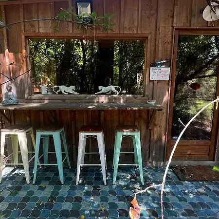L'aquarium De Proust Sous Les Arbres Lacanau