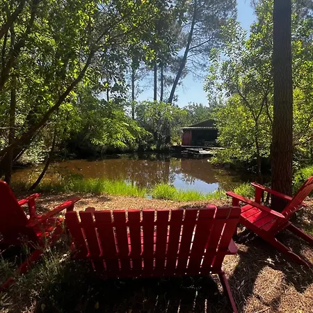 L'aquarium De Proust Sous Les Arbres * Lacanau