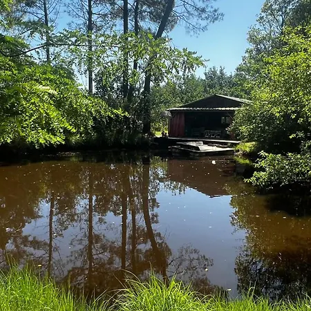 L'aquarium De Proust Sous Les Arbres * Lacanau