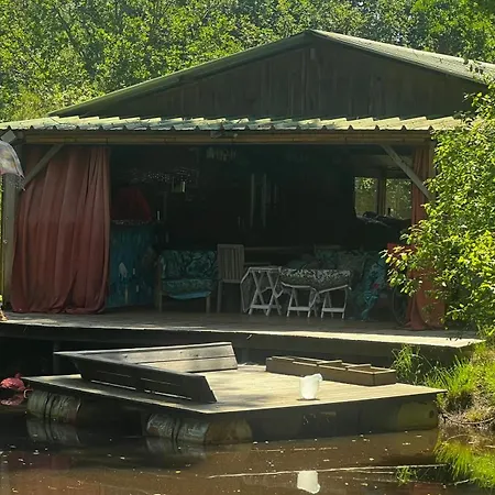 L'aquarium De Proust Sous Les Arbres