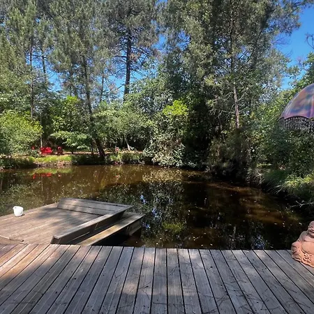 L'aquarium De Proust Sous Les Arbres 샬레 *