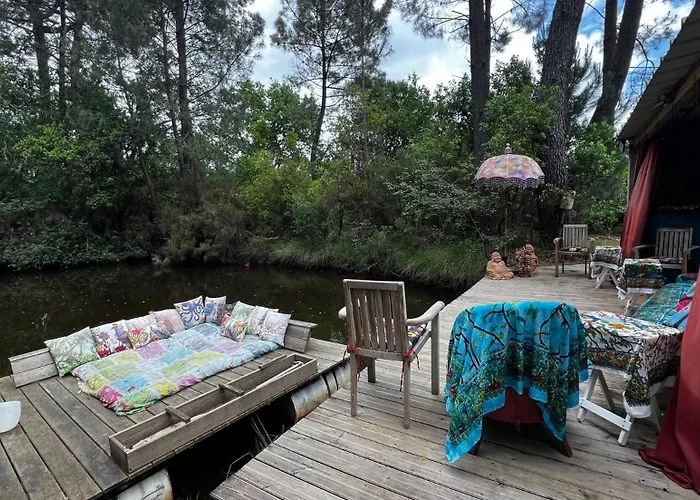 L'aquarium De Proust Sous Les Arbres Lacanau