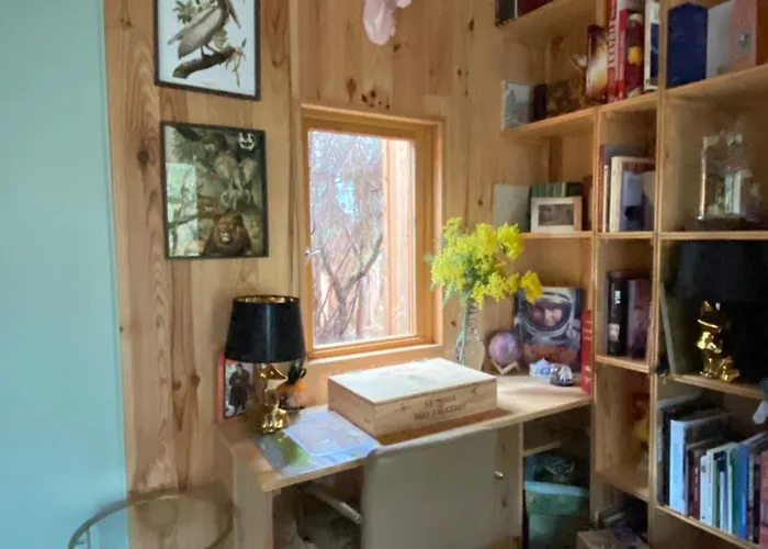 L'aquarium De Proust Sous Les Arbres Lacanau